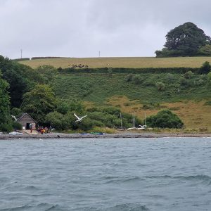 Porth Sawson Beach, home to the CST Regatta 2023