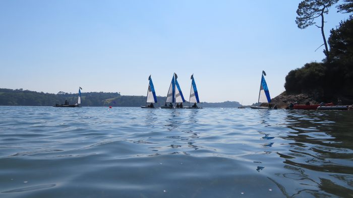 Pico sailing regatta
